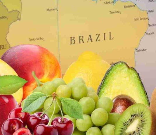 Crecen exportaciones de frutas frescas chilenas hacia el mercado latinoamericano esta temporada Crecen exportaciones de frutas frescas chilenas hacia el mercado latinoamericano esta temporada