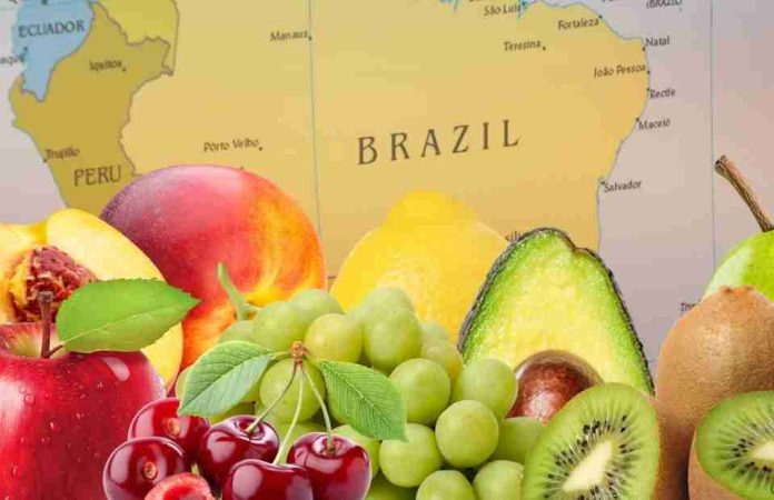 Crecen exportaciones de frutas frescas chilenas hacia el mercado latinoamericano esta temporada Crecen exportaciones de frutas frescas chilenas hacia el mercado latinoamericano esta temporada