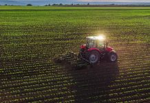 Crisis del Agro Chileno 2026: Exportaciones Caen 9,8% y el Sector Enfrenta su Momento más Difícil agricultura chilena 2026: Crisis del Agro Chileno 2026: Exportaciones Caen 9,8% y el Sector Enfrenta su Momento más Difícil