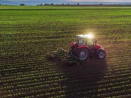 Crisis del Agro Chileno 2026: Exportaciones Caen 9,8% y el Sector Enfrenta su Momento más Difícil agricultura chilena 2026: Crisis del Agro Chileno 2026: Exportaciones Caen 9,8% y el Sector Enfrenta su Momento más Difícil