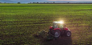 agricultura chilena 2026: Crisis del Agro Chileno 2026: Exportaciones Caen 9,8% y el Sector Enfrenta su Momento más Difícil