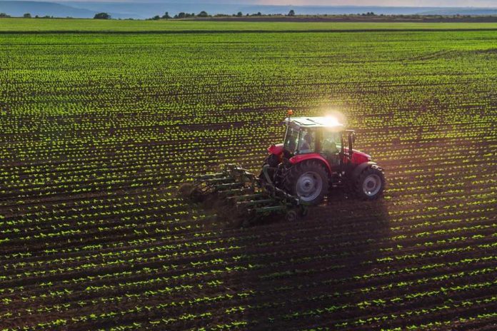 Crisis Agro Chile 2026 ▷ Exportaciones Caen y Cerezas en Problemas agricultura chilena 2026: Crisis del Agro Chileno 2026: Exportaciones Caen 9,8% y el Sector Enfrenta su Momento más Difícil