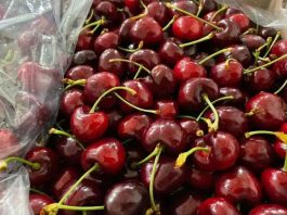 Crisis en el sector de cerezas: alertan por el clima, los costos y la pérdida de competitividad Crisis en el sector de cerezas: alertan por el clima, los costos y la pérdida de competitividad