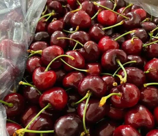 Crisis en el sector de cerezas: alertan por el clima, los costos y la pérdida de competitividad Crisis en el sector de cerezas: alertan por el clima, los costos y la pérdida de competitividad