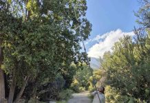 Curso teórico gratuito sobre colecta de semillas nativas de Chile