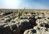 Desertificación y sequía: innovar para seguir produciendo Desertificación y sequía: innovar para seguir produciendo