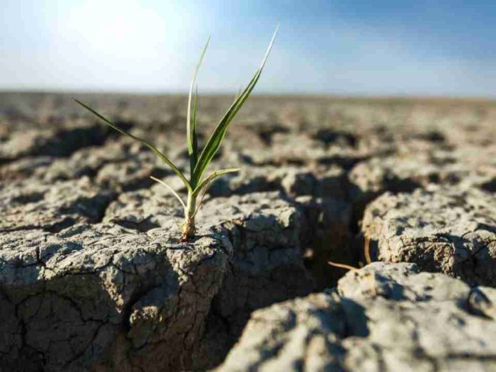 Desertificación y sequía innovar para seguir produciendo Desertificación y sequía: innovar para seguir produciendo
