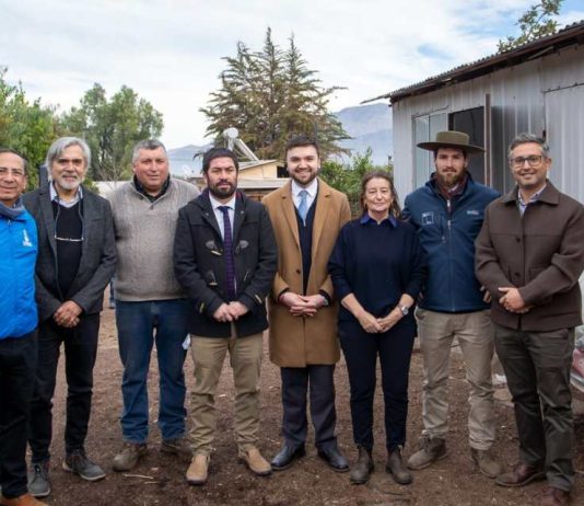 Día Mundial de Lucha contra la Desertificación y la Sequía: Agricultores de Putaendo y san esteban muestran cómo enfrentan la sequía con el apoyo de INDAP