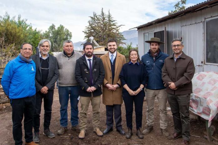 Día Mundial de Lucha contra la Desertificación y la Sequía: Agricultores de Putaendo y san esteban muestran cómo enfrentan la sequía con el apoyo de INDAP