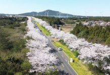 Día Mundial del Medio Ambiente: La inacción climática podría costar 250.000 vidas y un 4% del PIB global cada año hasta 2050 Día Mundial del Medio Ambiente La inacción climática podría costar 250.000 vidas y un 4% del PIB global cada año hasta 2050