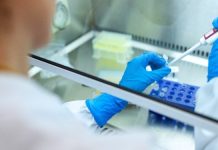 Ya rige en Europa la normativa que habilita los cultivos modificados por edición génica, aunque continúa el rechazo a los transgénicos