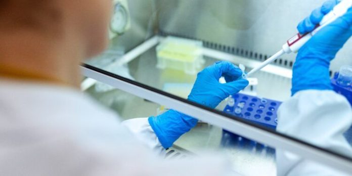 Ya rige en Europa la normativa que habilita los cultivos modificados por edición génica, aunque continúa el rechazo a los transgénicos