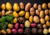 El I Simposio Internacional de la Patata, una oportunidad para reforzar su imagen como cultivo estratégico en España y la UE