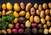 El I Simposio Internacional de la Patata, una oportunidad para reforzar su imagen como cultivo estratégico en España y la UE