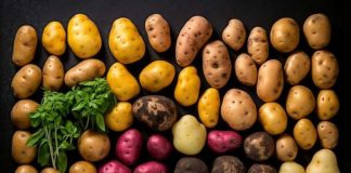 El I Simposio Internacional de la Patata, una oportunidad para reforzar su imagen como cultivo estratégico en España y la UE