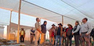 Empresa asociativa campesina de Huara recibe camión frigorífico con apoyo de INDAP: consolidarán ventas de alimentos para estudiantes de escuelas y liceos públicos de la región