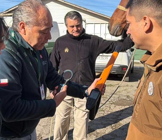 SAG se reúne con Carabineros de Chile para analizar normativa de trazabilidad Animal En Universidad de Las Américas y con la presencia del Ministro y Subsecretario de Agricultura, Colegio de Ingenieros Agrónomos de Chile realizó su ceremonia anual de premiación 2026 (1)