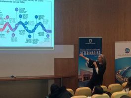 En la región del Biobío Veterinaria UdeC realiza seminario internacional sobre influenza aviar En la región del Biobío Veterinaria UdeC realiza seminario internacional sobre influenza aviar