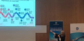 Noticia: En la región del Biobío Veterinaria UdeC realiza seminario internacional sobre...