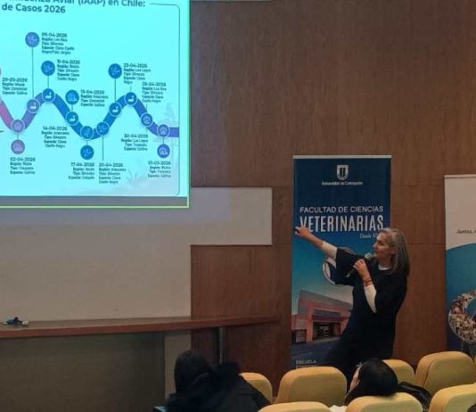 En la región del Biobío Veterinaria UdeC realiza seminario internacional sobre influenza aviar En la región del Biobío Veterinaria UdeC realiza seminario internacional sobre influenza aviar