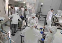 Estudiantes de INACAP Osorno aprenden a elaborar quesos con especialistas de INIA