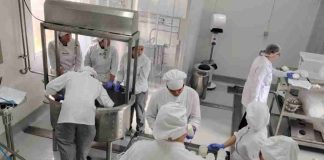 Estudiantes de INACAP Osorno aprenden a elaborar quesos con especialistas de INIA