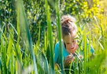 Europa aprueba las nuevas técnicas genómicas en un hito histórico para la mejora vegetal Europa aprueba las nuevas técnicas genómicas en un hito histórico para la mejora vegetal