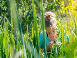 Europa aprueba las nuevas técnicas genómicas en un hito histórico para la mejora vegetal Europa aprueba las nuevas técnicas genómicas en un hito histórico para la mejora vegetal
