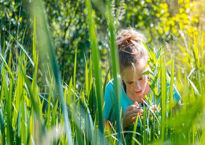 Europa aprueba las nuevas técnicas genómicas en un hito histórico para la mejora vegetal