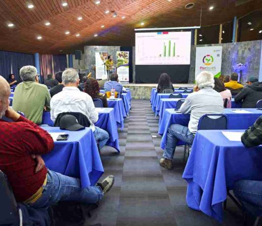 Exitosos resultados de piloto de Systems Approach Area Wide en el Valle del Aconcagua refuerzan llamado a avanzar en acuerdo con Estados Unidos Exitosos resultados de piloto de Systems Approach Area Wide en el Valle del Aconcagua refuerzan llamado a avanzar en acuerdo con Estados Unidos