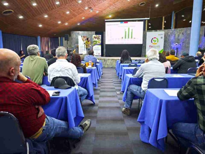 Exitosos resultados de piloto de Systems Approach Area Wide en el Valle del Aconcagua refuerzan llamado a avanzar en acuerdo con Estados Unidos