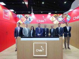 Frutas de Chile protagoniza intensa agenda para consolidar la presencia de las frutas frescas en el Sudeste Asiático Frutas de Chile protagoniza intensa agenda para consolidar la presencia de las frutas frescas en el Sudeste Asiático