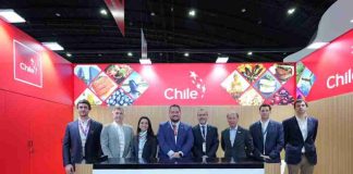 Frutas de Chile protagoniza intensa agenda para consolidar la presencia de las frutas frescas en el Sudeste Asiático Frutas de Chile protagoniza intensa agenda para consolidar la presencia de las frutas frescas en el Sudeste Asiático