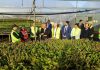 Hacia un nuevo trato forestal: Gobierno y gremios forestales abordan desafíos del sector en mesa de trabajo realizada en Biobío