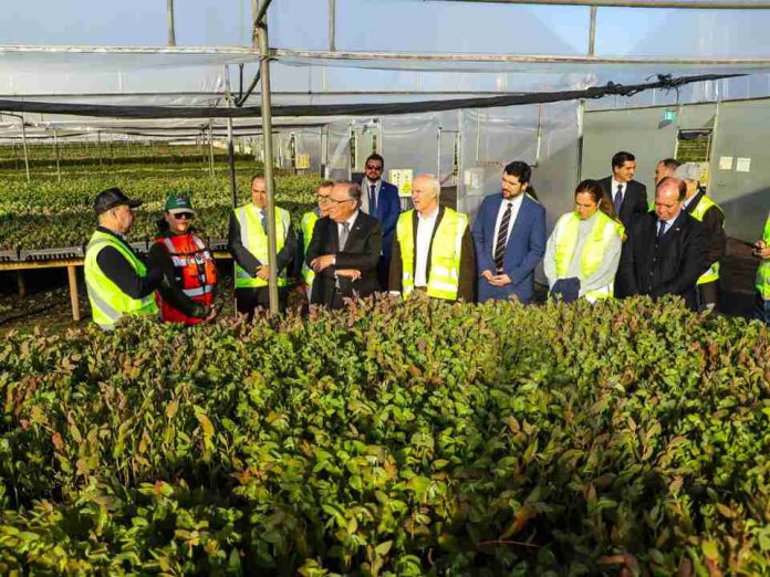 Hacia un nuevo trato forestal: Gobierno y gremios forestales abordan desafíos del sector en mesa de trabajo realizada en Biobío