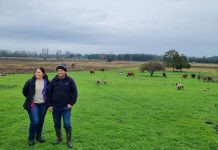 INDAP entregó $186 millones en Capital de Trabajo a agricultores de Yumbel, Cabrero y San Rosendo INDAP entregó $186 millones en Capital de Trabajo a agricultores de Yumbel, Cabrero y San Rosendo