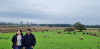 INDAP entregó $186 millones en Capital de Trabajo a agricultores de Yumbel, Cabrero y San Rosendo