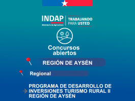 INDAP invita a usuarios a postular a los llamados a concursos vigentes INDAP invita a usuarios a postular a los llamados a concursos vigentes