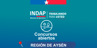 INDAP invita a usuarios a postular a los llamados a concursos vigentes