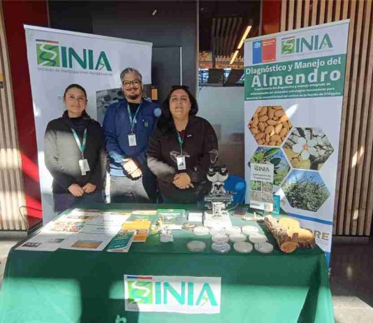 INIA La Platina acercó su trabajo a estudiantes en Feria Agroambiental de Duoc UC San Bernardo