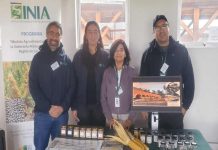 INIA destacó la importancia de la conservación y valoración de semillas y variedades tradicionales en 1°Feria de Innovación Hortícola de Los Ríos INIA destacó la importancia de la conservación y valoración de semillas y variedades tradicionales en 1°Feria de Innovación Hortícola de Los Ríos