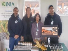 INIA destacó la importancia de la conservación y valoración de semillas y variedades tradicionales en 1°Feria de Innovación Hortícola de Los Ríos INIA destacó la importancia de la conservación y valoración de semillas y variedades tradicionales en 1°Feria de Innovación Hortícola de Los Ríos