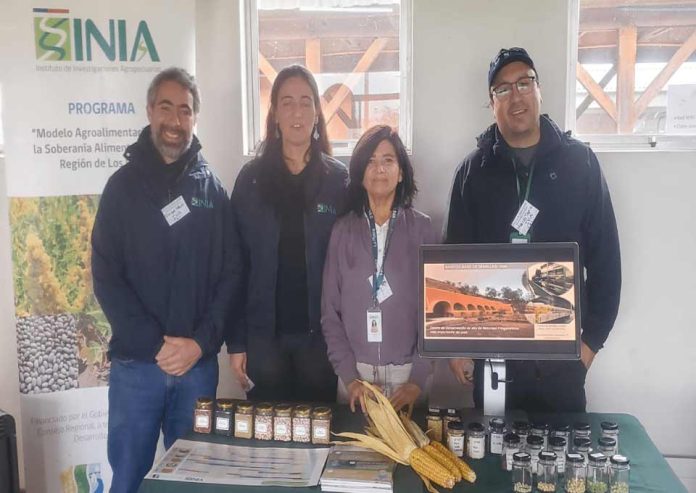 INIA destacó la importancia de la conservación y valoración de semillas y variedades tradicionales en 1°Feria de Innovación Hortícola de Los Ríos INIA destacó la importancia de la conservación y valoración de semillas y variedades tradicionales en 1°Feria de Innovación Hortícola de Los Ríos