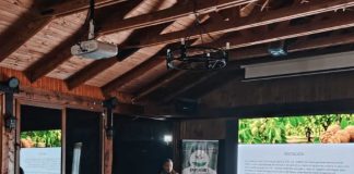 INIA presentó avances sobre manejo de salinidad, riego y enmiendas en nogales de la Cuenca del Maipo INIA presentó avances sobre manejo de salinidad, riego y enmiendas en nogales de la Cuenca del Maipo
