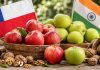 India acelera como destino relevante para Chile: manzanas frescas y nueces impulsan envíos India acelera como destino relevante para Chile: manzanas frescas y nueces impulsan envíos