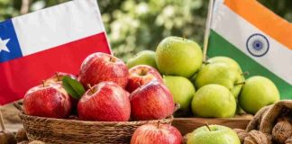 India acelera como destino relevante para Chile: manzanas frescas y nueces impulsan envíos India acelera como destino relevante para Chile: manzanas frescas y nueces impulsan envíos