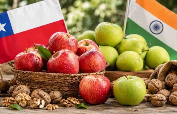 India acelera como destino relevante para Chile manzanas frescas y nueces impulsan envíos India acelera como destino relevante para Chile: manzanas frescas y nueces impulsan envíos