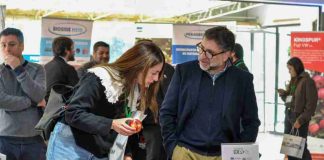 Industria de la manzana analiza estrategias ante llegada de fenómeno El Niño Industria de la manzana analiza estrategias ante llegada de fenómeno El Niño