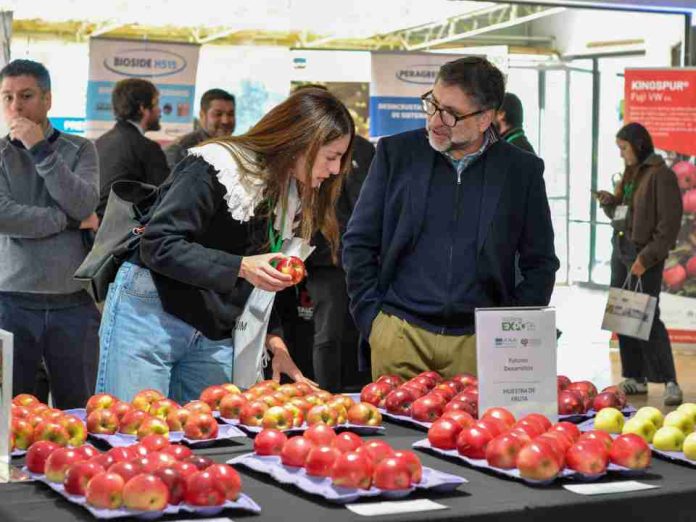 Industria de la manzana analiza estrategias ante llegada de fenómeno El Niño Industria de la manzana analiza estrategias ante llegada de fenómeno El Niño