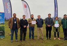 Influenza Aviar y heladas: Indemnizan por un total de $30 millones a tres productores de la Región del Maule Influenza Aviar y heladas: Indemnizan por un total de $30 millones a tres productores de la Región del Maule